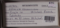 Image Associated With the Occurence